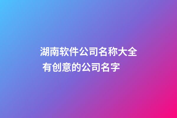 湖南软件公司名称大全 有创意的公司名字-第1张-公司起名-玄机派